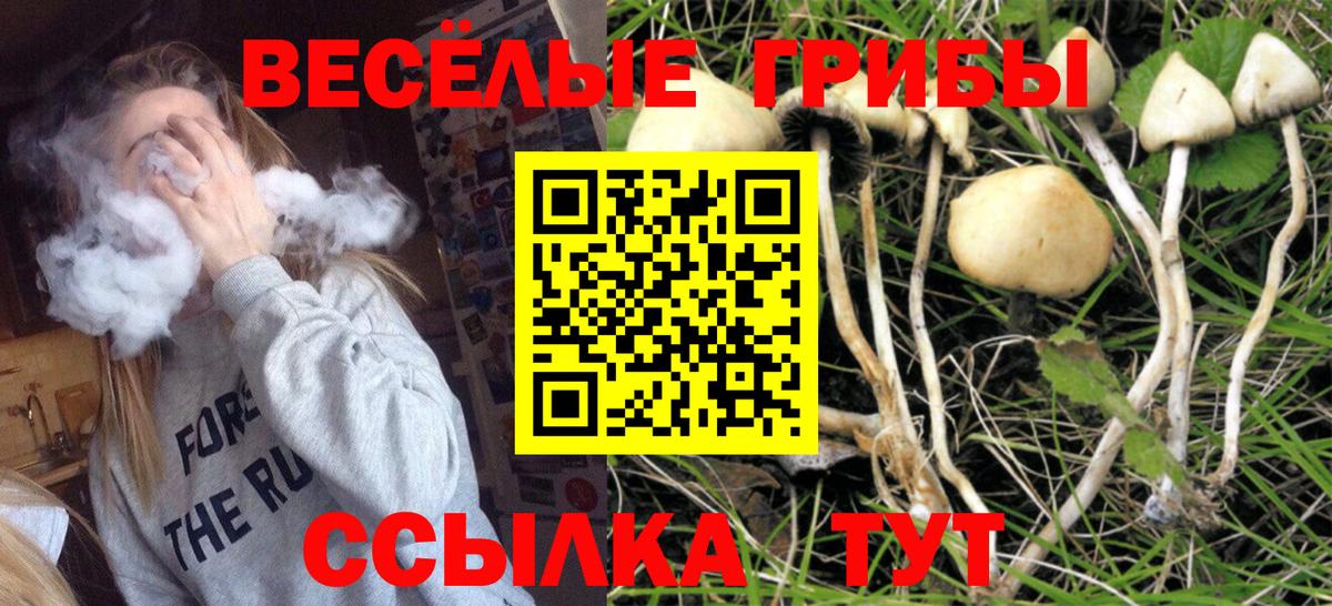 Богданович  Галлюциногенные грибы ЛСД  Псилоцибиновые грибы Magic Shrooms  Вход с VPN 