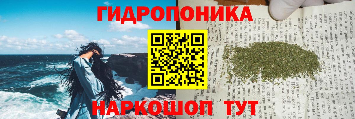 Канабис MAZAR Богданович
