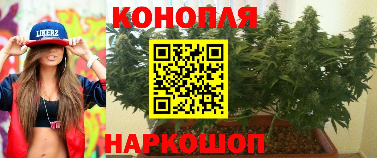 Бошки Шишки AK-47  Шишки марихуана план  МАРИХУАНА план  Вход с VPN  Богданович  МАРИХУАНА ГИДРОПОН 